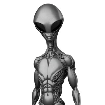 An advanced extraterrestrial UFO grey alien portrait cut-out no background