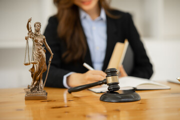 Female lawyer working at client's office discussing documents