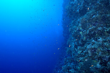 Naklejka na ściany i meble bubbles diving blue abstract underwater background