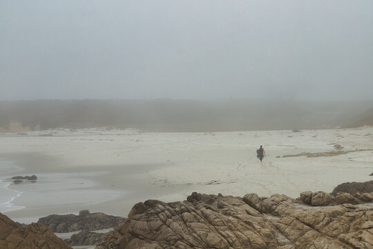 Morning Surfer on an Isolated Foggy Beach