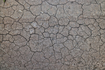 cracks on the ground desert texture background earth climate ecology