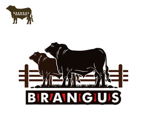brangus breeds cattle logo, silhouette of great cattle breeds vector illustrations