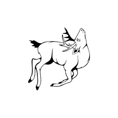 deer illustration vector with concept