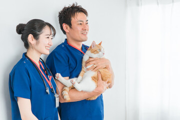 猫を抱く動物病院の男女の獣医師（アジア人）