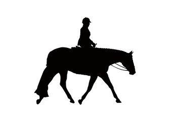 Hunter Under Saddle