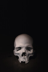 skull on black