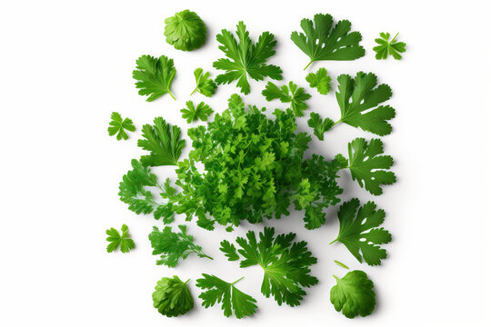 Top view of chopped fresh green parsley leaves isolated on a white background. On a white background, chopped parsley is isolated. Parsley leaves, chopped. New Herbs. Generative AI