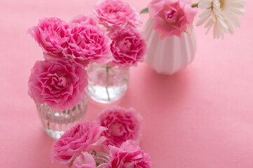 ピンク色のバラ