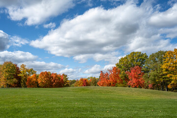 Fall colors at Marshbank Park in West Bloomfield, Michigan