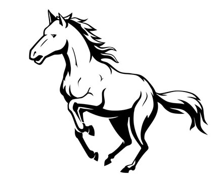 Wild Horse Galloping, Shadowed Animal Illustration