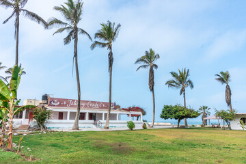 Fotografías de una casa de playa con palmeras, carpas y mucha naturaleza.