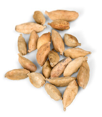 Obraz premium Cardamom