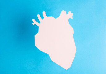 Anatomical heart cut out of white paper on a blue background. Healthy heart concept