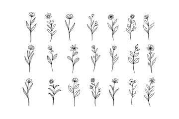 Hand Drawn Wildflower Line Art Illustrations. Botanical and Natural Designs for Invitations, Posters, and Digital Art