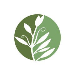 Green leaves Botanical logo vector and symbol design