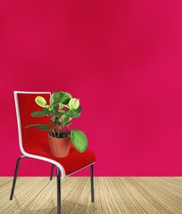Green plant in room in Viva Magenta modern color