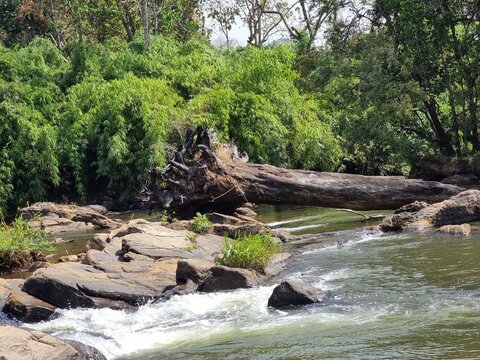 Chalakudy river in the forest, Thrissur,Kerala,India. 
