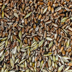 The surface of the grain storage for feeding chickens as a background.