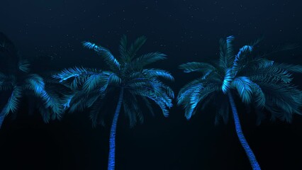 A background of palm tree scrolling past a night sky in a seamless loop.