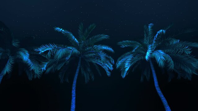 A background of palm tree scrolling past a night sky in a seamless loop.
