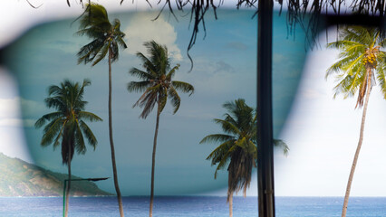 view of coconut trees on the beach through polarized glasses