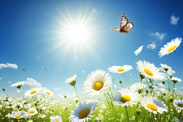 Foto op Canvas Panorama of nature showing chamomile daisies in a summer field in the spring against a blue sky with sunshine and a flying butterfly. A summertime nature scene with blank space. Generative AI © 2rogan