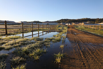 Water puddle on dirt trail after rain next to wooden fence
