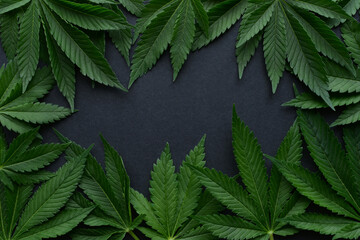 marijuana leaves, cannabis leaf frame on a black background, weed background with copy space