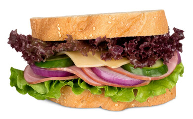 group of tasty sandwiches
