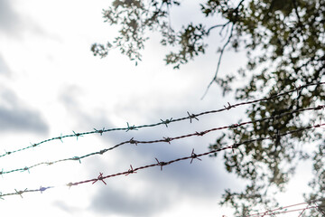 barbed wire with cloudy sky in the background