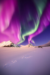 Fototapeta na wymiar Get Closer to the Night Sky Magic of Northern Lights and Lake with Our Images