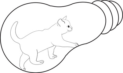 coloring page cat 