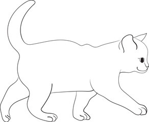 cat coloring page for kids 
