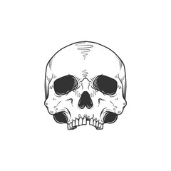 Skull head without jaw vector illustration. Design element for shirt design, logo, sign, poster, banner, card