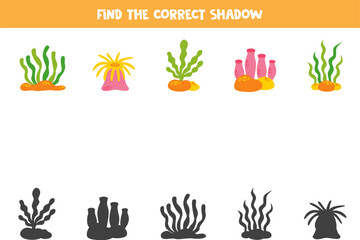 Fototapeta na wymiar Find the correct shadows of cute sea plants. Logical puzzle for kids.