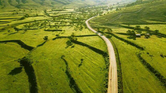Green agricultural terraces in the mountains at sunrise. Aerial drone view. Beautiful summer landscape. Dagestan, Russia.
