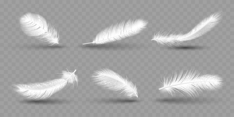 White falling angel or dove feathers. Smooth bird objects, swan Fluffy wing, soft light shadow plume, realistic air plumage isolated on transparent background. Lightweight vector 3d concept