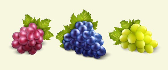 Realistic grape bunch, nature ripe berries different colors green and purple. Vineyard juicy fruits, 3d isolated elements, winery agriculture leaves, alcohol drinks. Vector isolated set