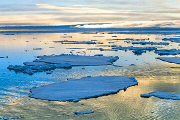 Fototapeta na wymiar Ice floes on the sea in the glow of the midnight sun in the arctic