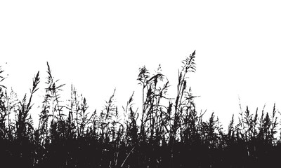 grass silhouette background vector  illustration