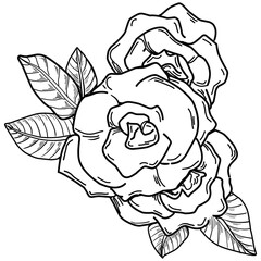 Vector Flowers summer. Isolated botanical flower, leaves. Black and white engraved sketch ink art. Leaf plant botanical garden floral foliage. Wildflower drawing leaf illustration element.