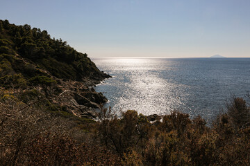 coast and sea Elba