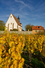 Maria im Weingarten und Weinberge bei Volkach, Unterfanken, Bayern, Deutschland
