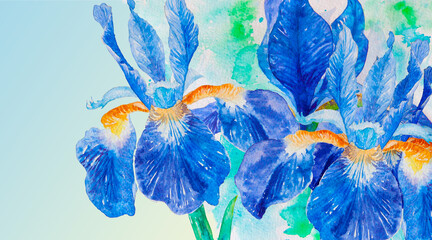 Blue purple watercolor iris flowers on green background. Bouquet of irises, close-up