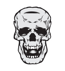 Skull head vector illustration design