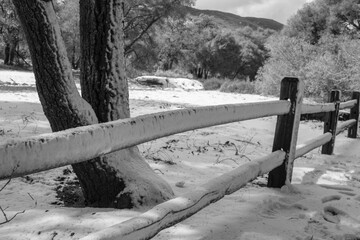 Beautiful monochromatic winter landscape with snow covered wooden fence.