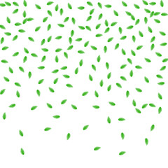 Light Green Plant Background White Vector. Leaf Structure Illustration. Growth Card. Green Creative Frame. Leaves Silhouette.