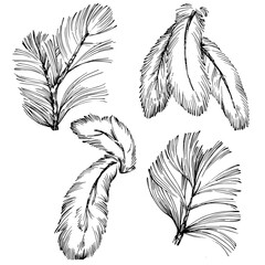 Obraz premium Wildflower fir-needle tree pattern in a one line style. Outline of the plant: Black and white engraved ink art needle. Sketch wild flower for background, texture, wrapper pattern, frame or border.