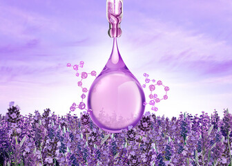 essential oil of lavender flower