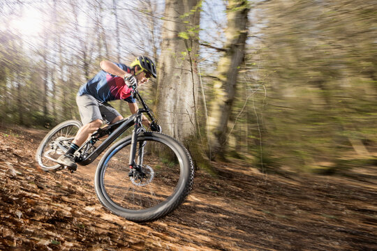 Mountain biker riding down hill on forest path, Bavaria, Germany